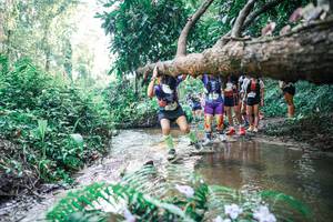 BIB: 
                            <button type="button" onclick="openModal(25464806)" class="btn btn-primary btn-sm float-right btn-popup" data-toggle="modal" data-target=".modal-high-quality">
                        <i class="fas fa-shopping-cart"></i> Add to Cart
                    </button>
                                            <button type="button" onclick="isThisMe(25464806, true)" class="btn btn-success btn-sm float-right btn-popup btn-isme hidden" data-toggle="tooltip" data-placement="bottom" title="นี่คือรูปของคุณใช่ไหม คลิกที่นี่เพื่อเอาเข้าอัลบั้ม">
                        <i class="fas fa-plus"></i> Add to album
                    </button>
                    <button type="button" onclick="isThisMe(25464806, false)" class="btn btn-warning btn-sm float-right btn-popup btn-isnotme hidden">
                        <i class="fas fa-ban"></i> Remove from album
                    </button>